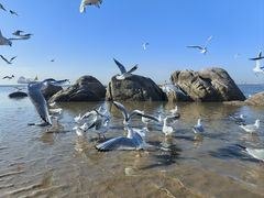 -老虎石海上公园