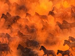 -罗红摄影艺术馆