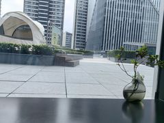 -凤凰湘语(浦东旗舰店)