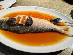 招牌中式清蒸鲥鱼-苏浙汇(古北店)