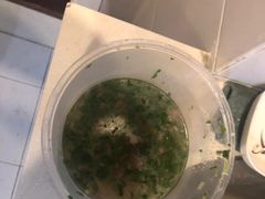-马艾萨中国兰州牛肉拉面(劲松店)