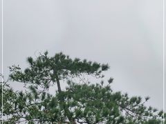 -百漈沟生态旅游景区