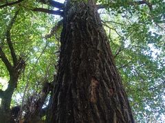 -浮山风景名胜区