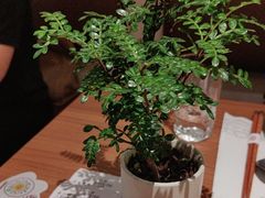 -CURRY YA 熟成咖哩專門店(深圳湾万象城店)