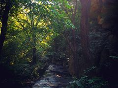 -碓臼峪自然风景区