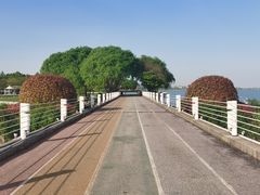 -贡湖湾湿地公园