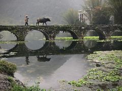 -靖西鹅泉风景区
