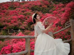 -木兰云雾山