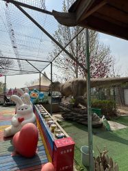 -萌宠亲子动物乐园(槐房万达店)