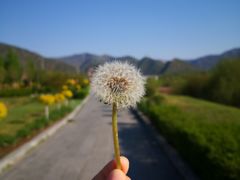 -芦芽山旅游度假区