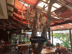 -卷心菜和避孕套餐厅(Pattaya)