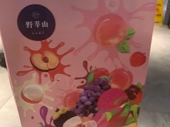 -野萃山·潮汕厚果汁(十亩地店)