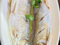 清蒸白水鱼-品渔味湖鲜馆(拈花湾店)