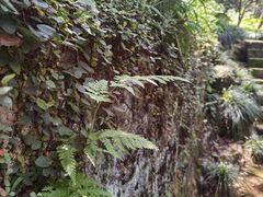 -杭州花家山庄