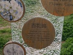 -桤木河湿地公园