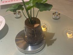 -一宽宽宴(白浮泉路店)