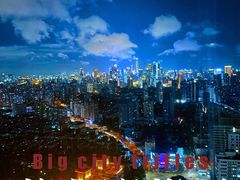 -上海龙之梦万丽酒店