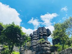 -梭布垭石林景区