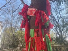 -敬亭山风景名胜区