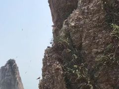 -海驴岛(荣成市)
