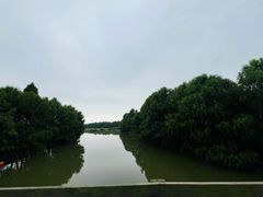 -上海海湾国家森林公园