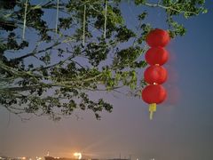 -滨海公园