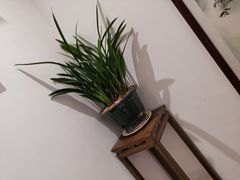 -德云居