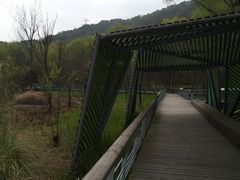 -西湖风景区-江洋畈生态公园