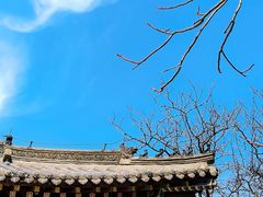 -护国法轮寺