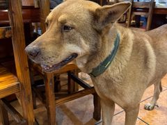 -伍哥厨房(新滘东路店)