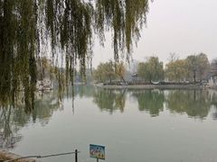 -达活泉公园
