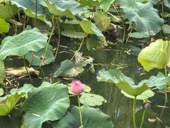 -西南交通大学(九里校区)