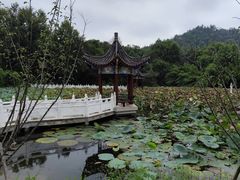 -青龙山国家森林公园