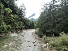 android_upload_pic-黑河国家森林公园