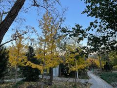 -阳台山自然风景区