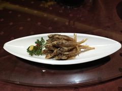 -森谷美食公园(杨行店)