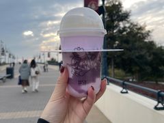 -喜茶(迪士尼小镇DP店)