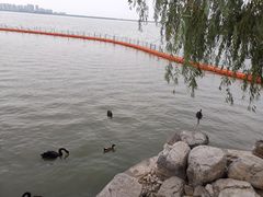 -天津东丽湖风景区