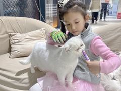 -怪兽屋·羊驼·猫咖·狗咖(俊华广场店)