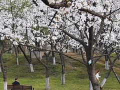 -堤角公园