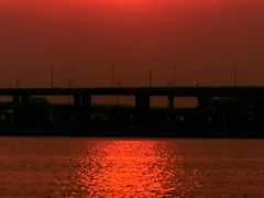 -宝安西湾红树林湿地公园