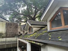 -青竺·青竹茶舍(断桥店)