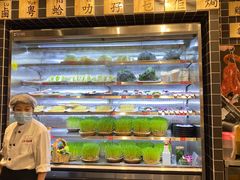 自助取餐区-好彩猪肚鸡(正弘城店)