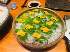 -月龍吟(朝龙汇店)