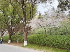 -南北湖风景区