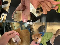 -听TA说宠咖·宠物生活馆(天韵水岸店)