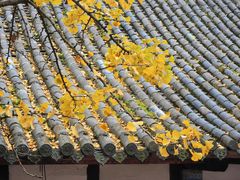 -金堂县云顶石城风景区