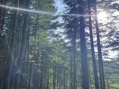 -驼梁风景区
