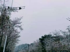 -几荷·恰似故人来(秀水广场店)