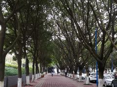 -西南政法大学(渝北校区)